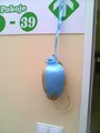Zdjęcie3851