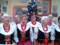 Zdjęcie4295