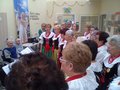 Zdjęcie4301